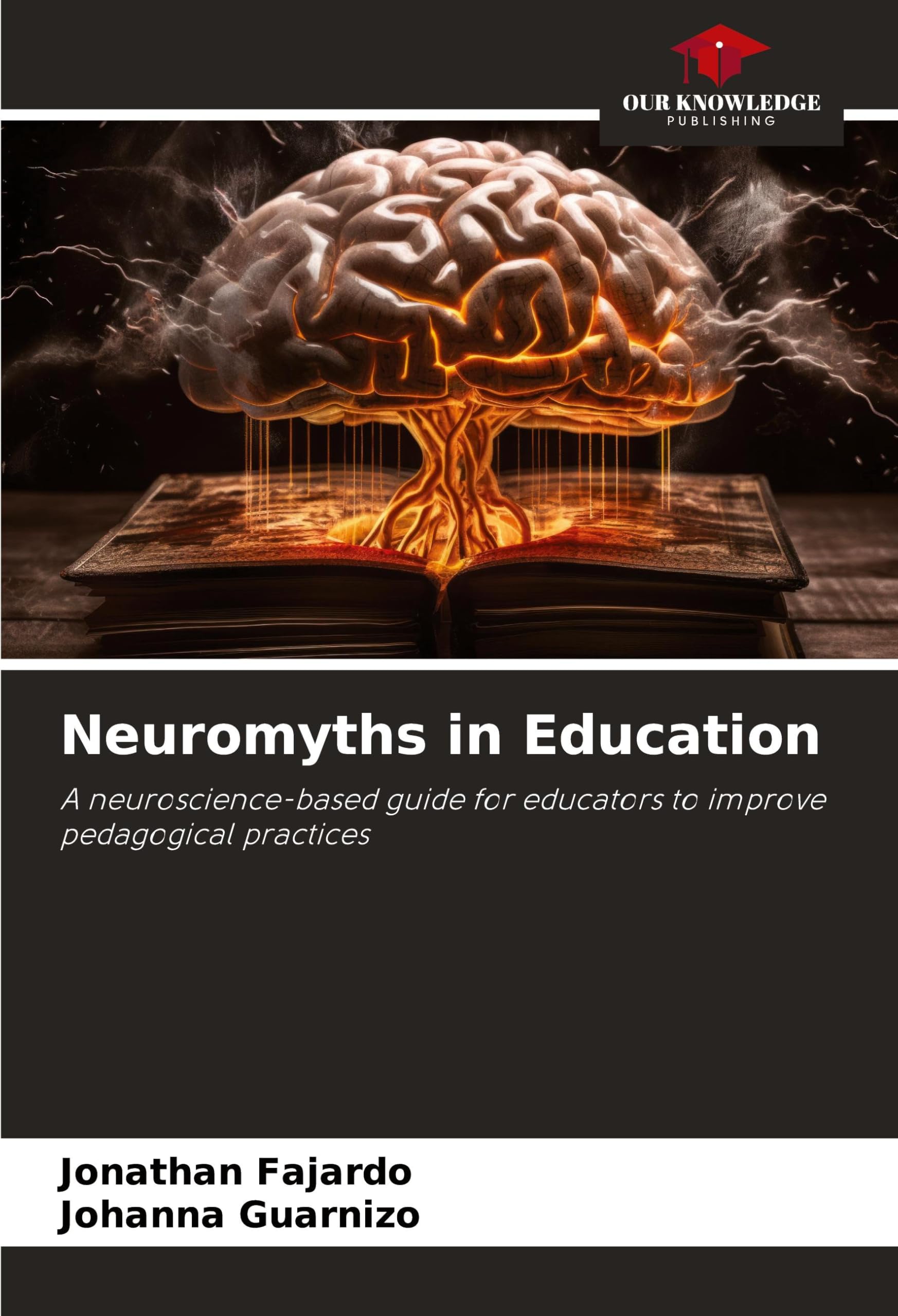 Neuromyths in Education: A neuroscience-based guide for educators to improve pedagogical practices