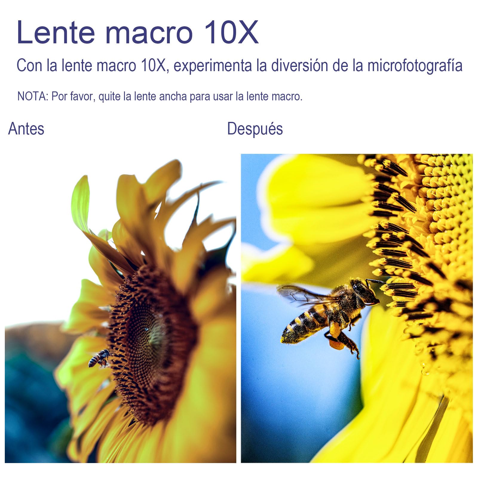 Lente de conversión Gran Angular HD de 49 mm 0,75x (porción Macro), para Canon EOS M6 M50 Mark II M100 M200 con Lentes EF-M de 15 a 45 mm, R50 R100, Accesorios con Lentes RF-S de 18 a 45 mm