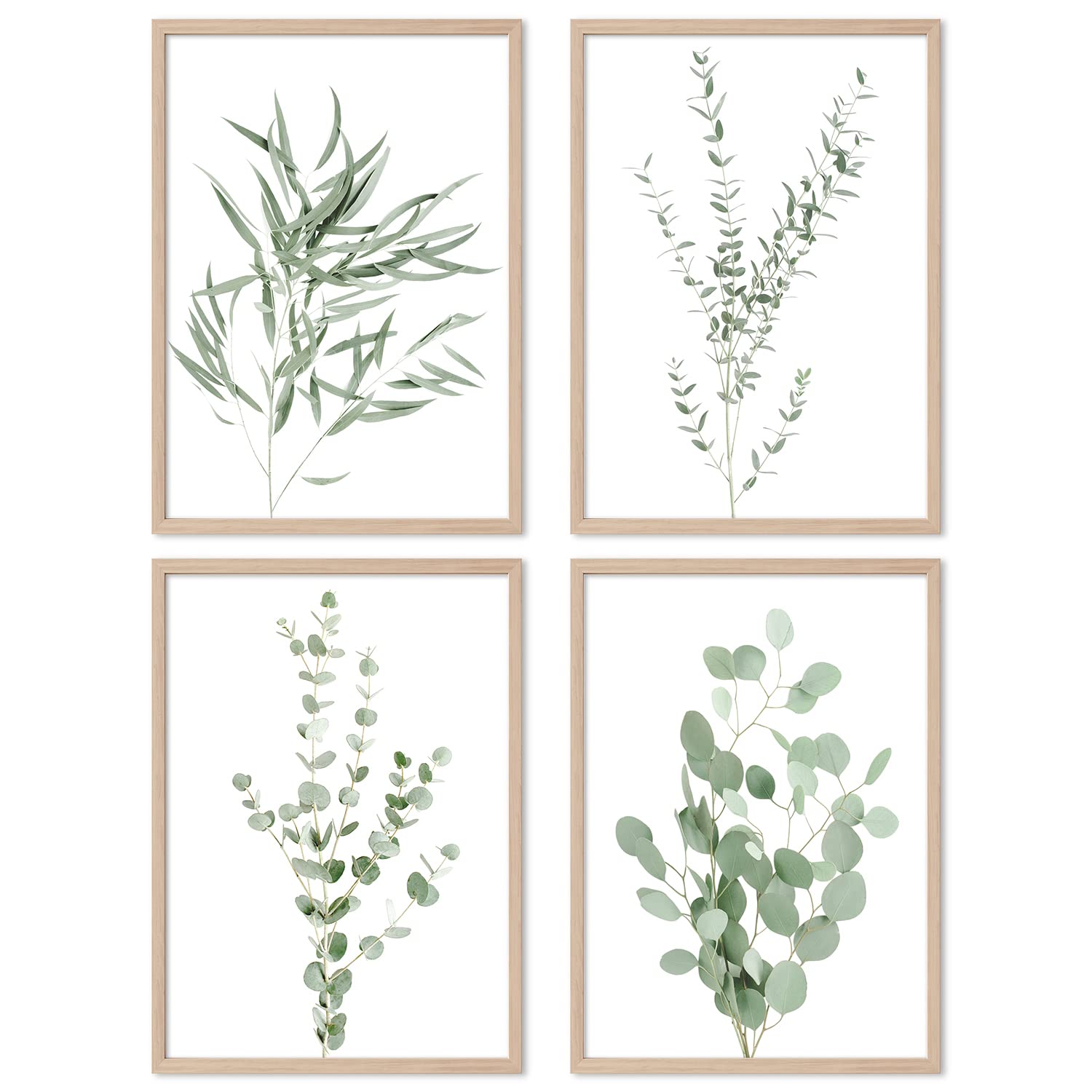 AllBlue Botanical Prints Plant Wall Art for Bedroom Posters and Prints Nature Green Leaf Eucalyptus Wall Pictures for Living Room (A4 21x29.7cm UNFRAMED, Green)