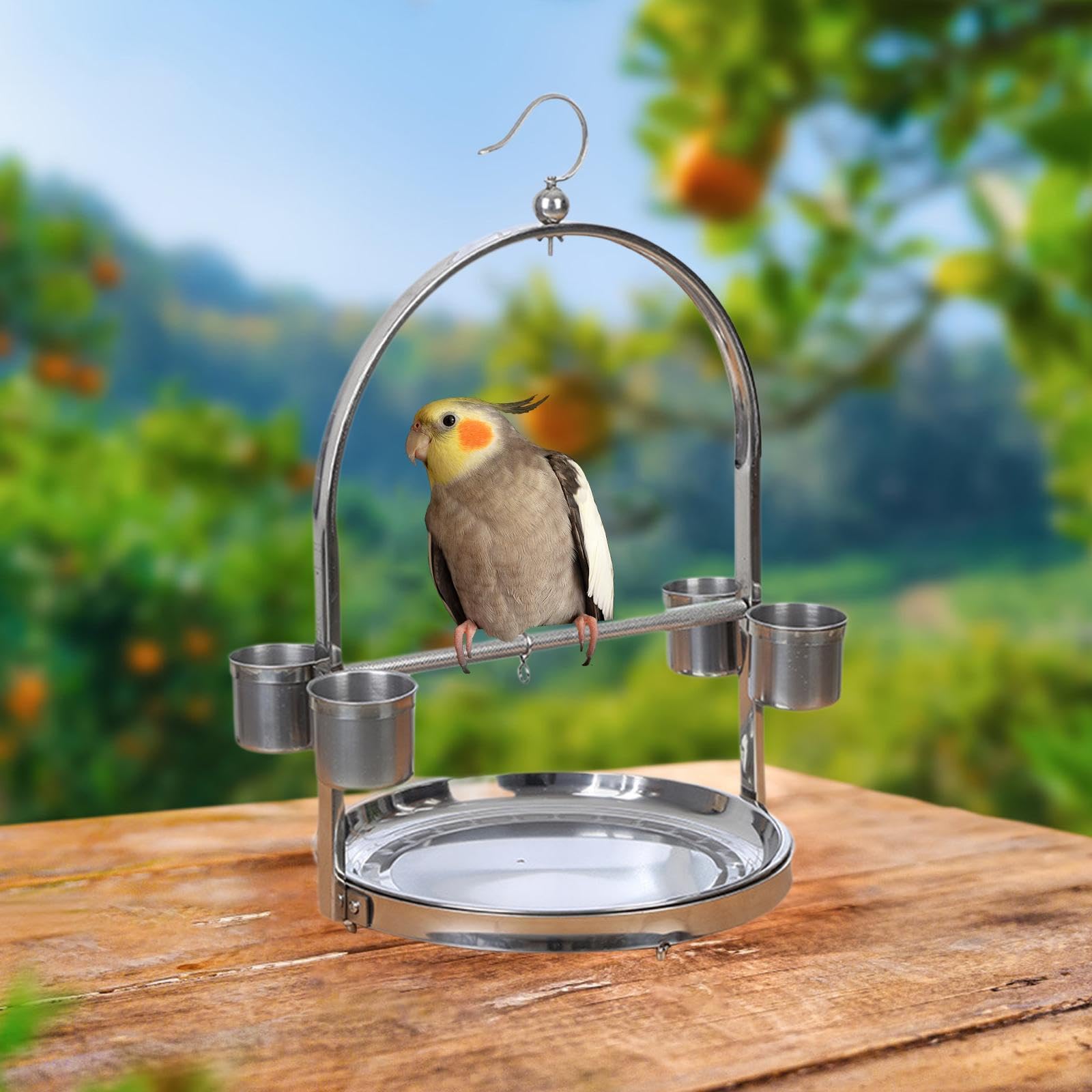 Estación de Juego de Percha para pájaros de Acero Inoxidable Que fomenta interacciones alegres. Fácil de Limpiar. Ayuda a Mantener eficazmente los, Plata, 36x60 centímetros