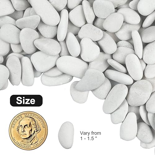 Miniatura 10 de Rocas de río blanco perla de 20 libras para paisajismo, guijarros pulidos para plantas, piedras decorativas de jardín, rocas de plantas de 1-1.5