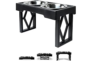Pet Zone Elevated Designer Diner