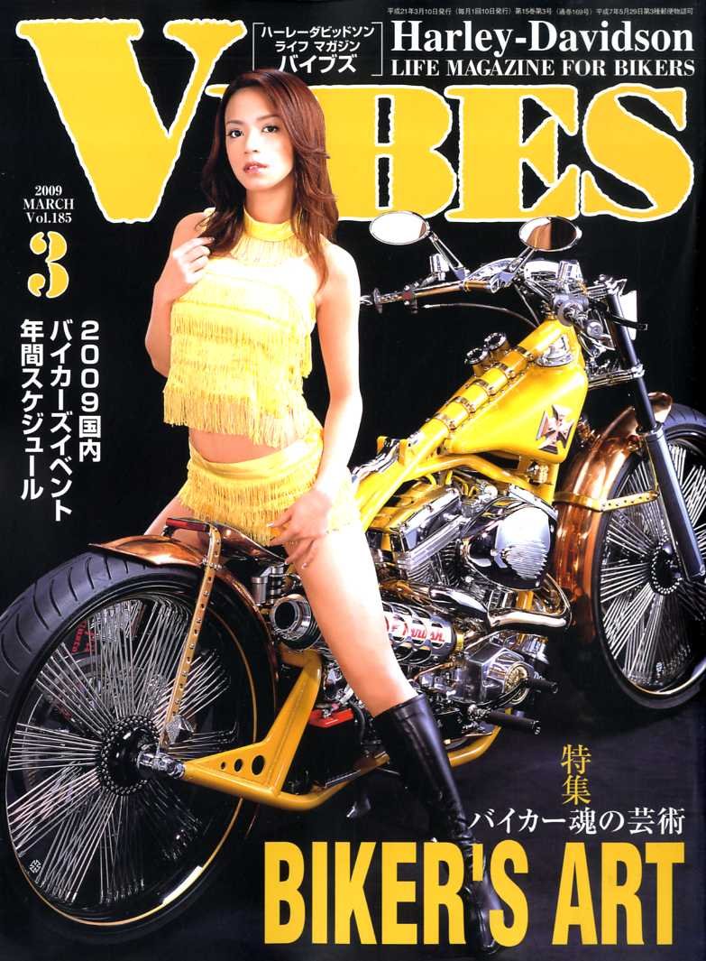 VIBES (バイブス) 2009年 03月号 [雑誌] |本 | 通販 | Amazon
