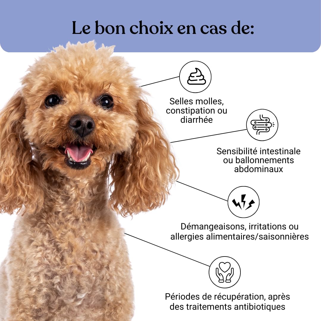 BAU Probiotiques pour Chien, Ferments Lactiques Canins, Soutien Gastro-Intestinal, Équilibre de la Flore Intestinale avec Ingrédients Naturels – 60 Comprimés