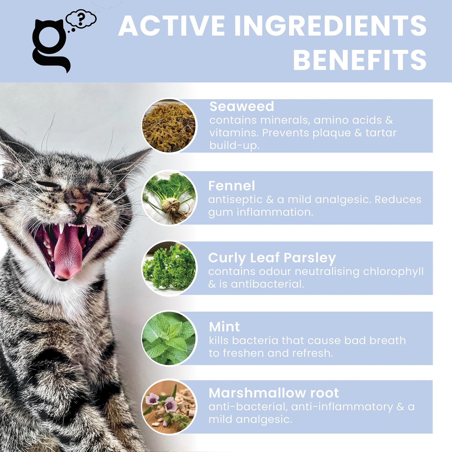 THE PET GURU, Plaque Guru Oral Hygiene Supplement for Cats 100gm, Dental Care Powder, Reduce Plaque, Fresh Breath - Image 2