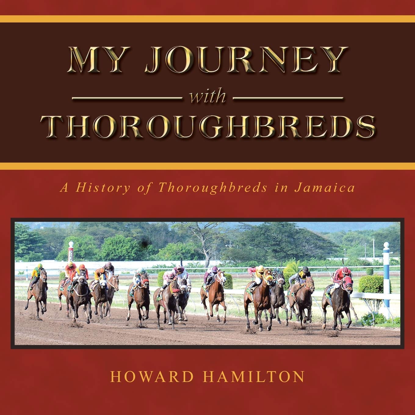 My Journey With Thoroughbreds