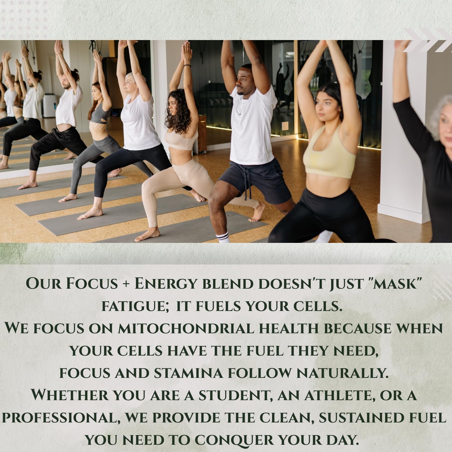 Focus+Energy Nootropic: Memory, Recall, NGF, Cellular ATP & Muscle Support -6-in-1 Organic Mushroom Complex- Advanced Brain Health-Natural Cellular Energy-Caffeine Free Biohack — Amazon image 4