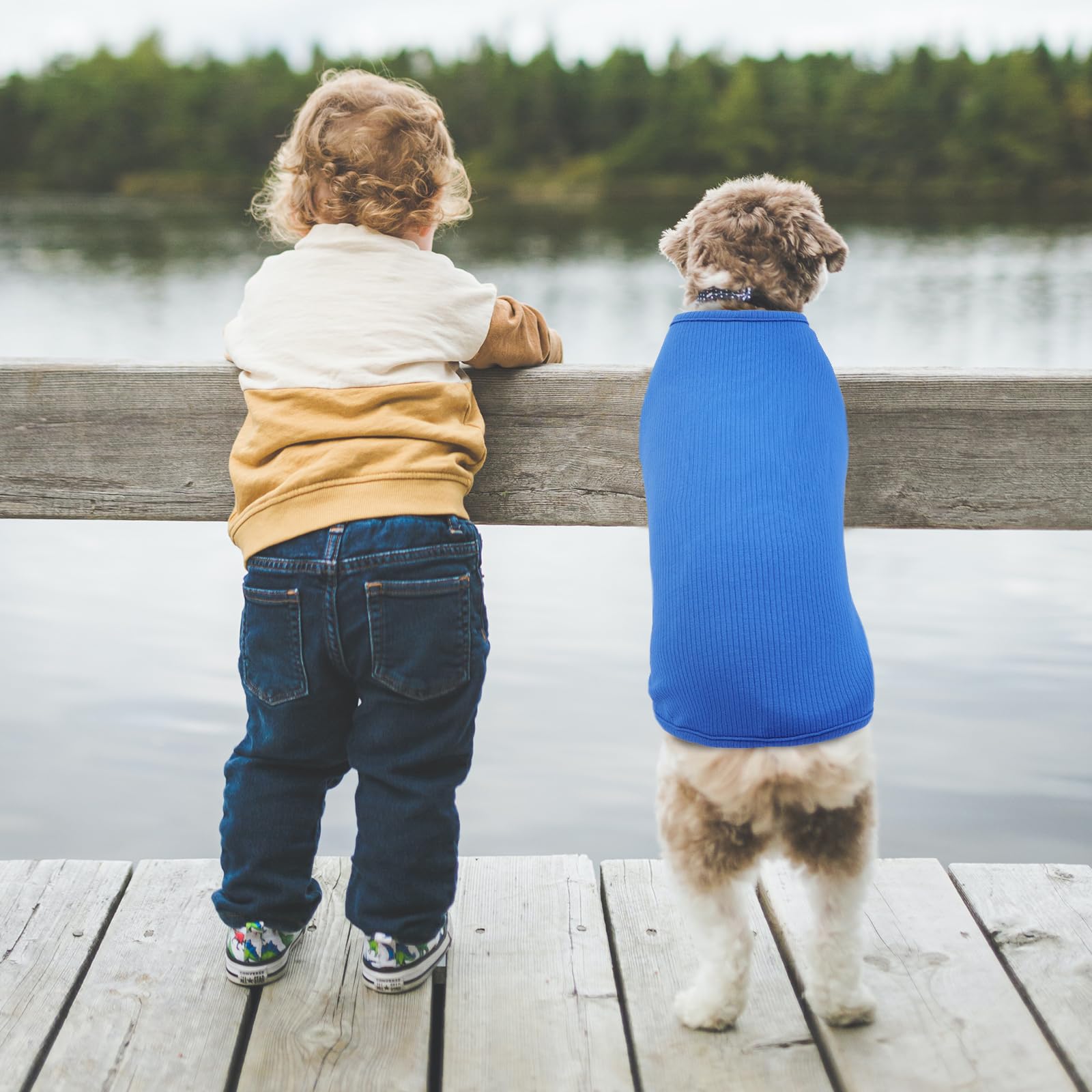 Maglietta Cane - Magliette per Cani Sottile Maglione Estiva Cane Taglia Piccola Maglia per Cani, Maglioncino a Righe Maglia Elastico (Blu zaffiro XXS)