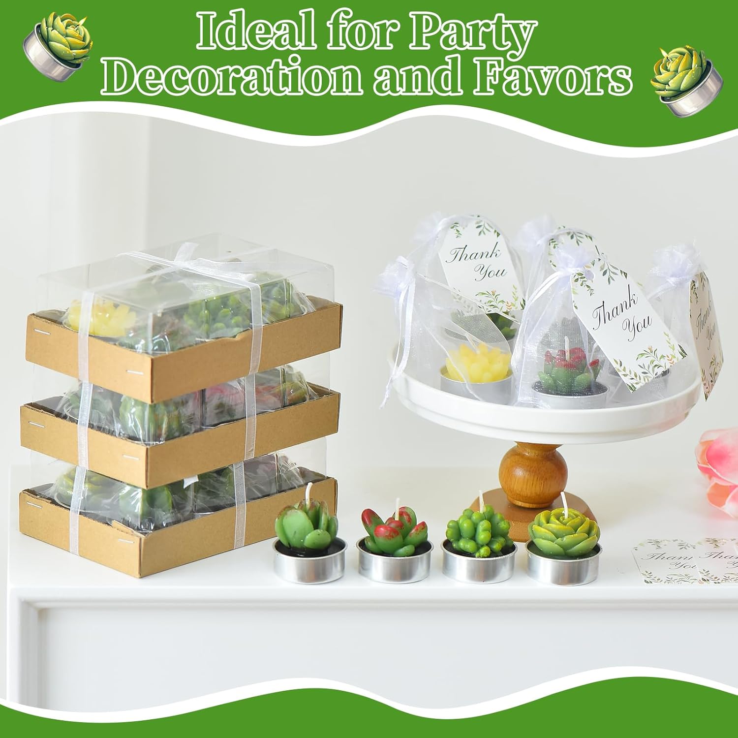 48Set Succulent Candles Baby Shower Candle Favors for Guests Include 48Plant Tealight Candles 48 Thank You Tags 48 Organza Bags Return Gift for Birthday Gender Reveal