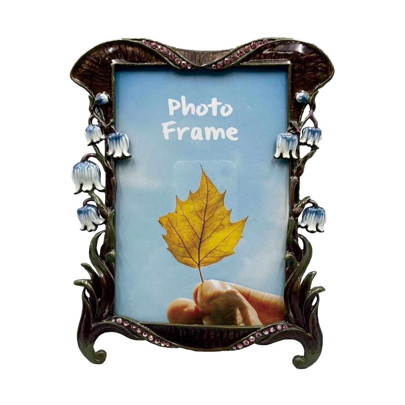 Vfdthr 6Inch Photo Frames Metal Photo Frame Bird Floral Creative Enamel Display Art Home Decor Wedding Birthday Gifts(6Inch)