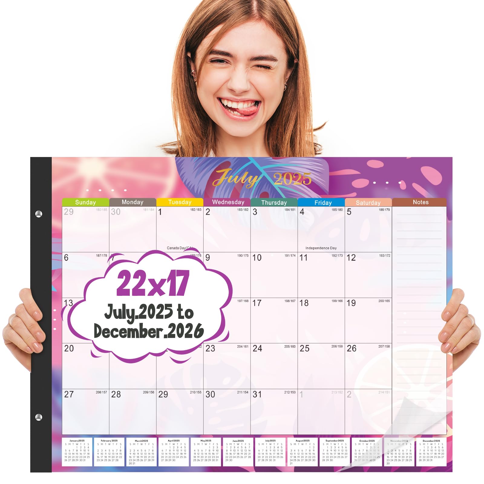 Gannyfer Large Desk Calendar 2025-18 Month Calendar Jan 2025, Jun 2026, 22" x 17" Desktop Pad Calendar