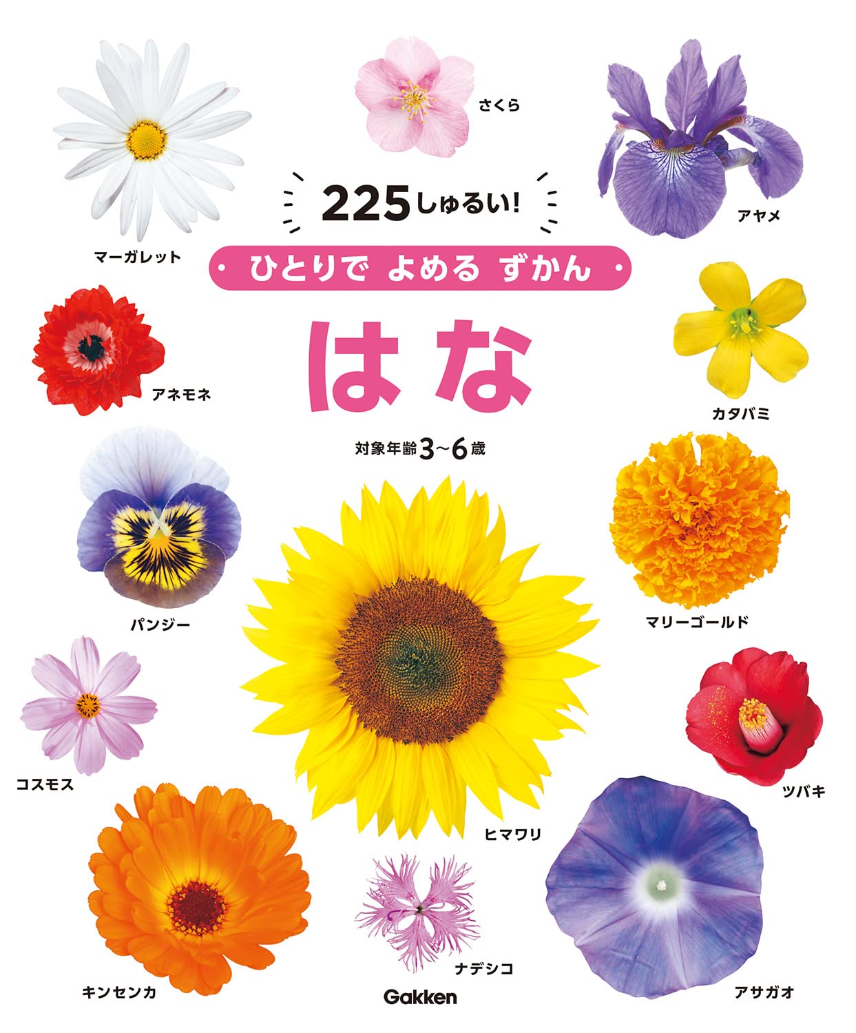 Amazon.co.jp: はな (ひとりでよめるずかん) : 廣瀬 光子, 北澤 哲弥