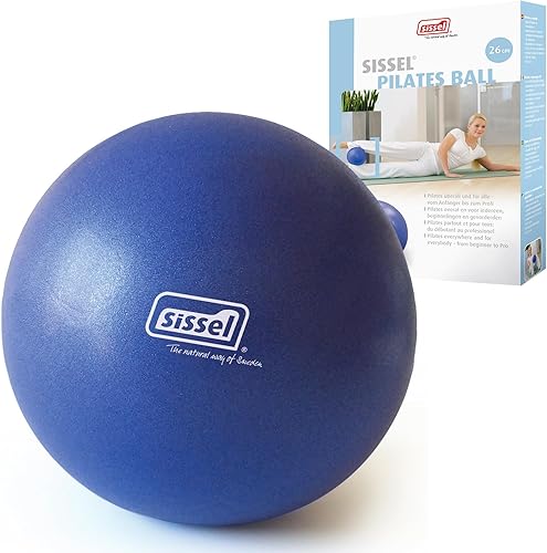 SISSEL Pilates Soft Ball Gray  8.5 in  Phthalate- & Latex-Free PVC  for Deep Relaxation & Muscle Strengthening  340 lbs Capacity  Includes Exercise