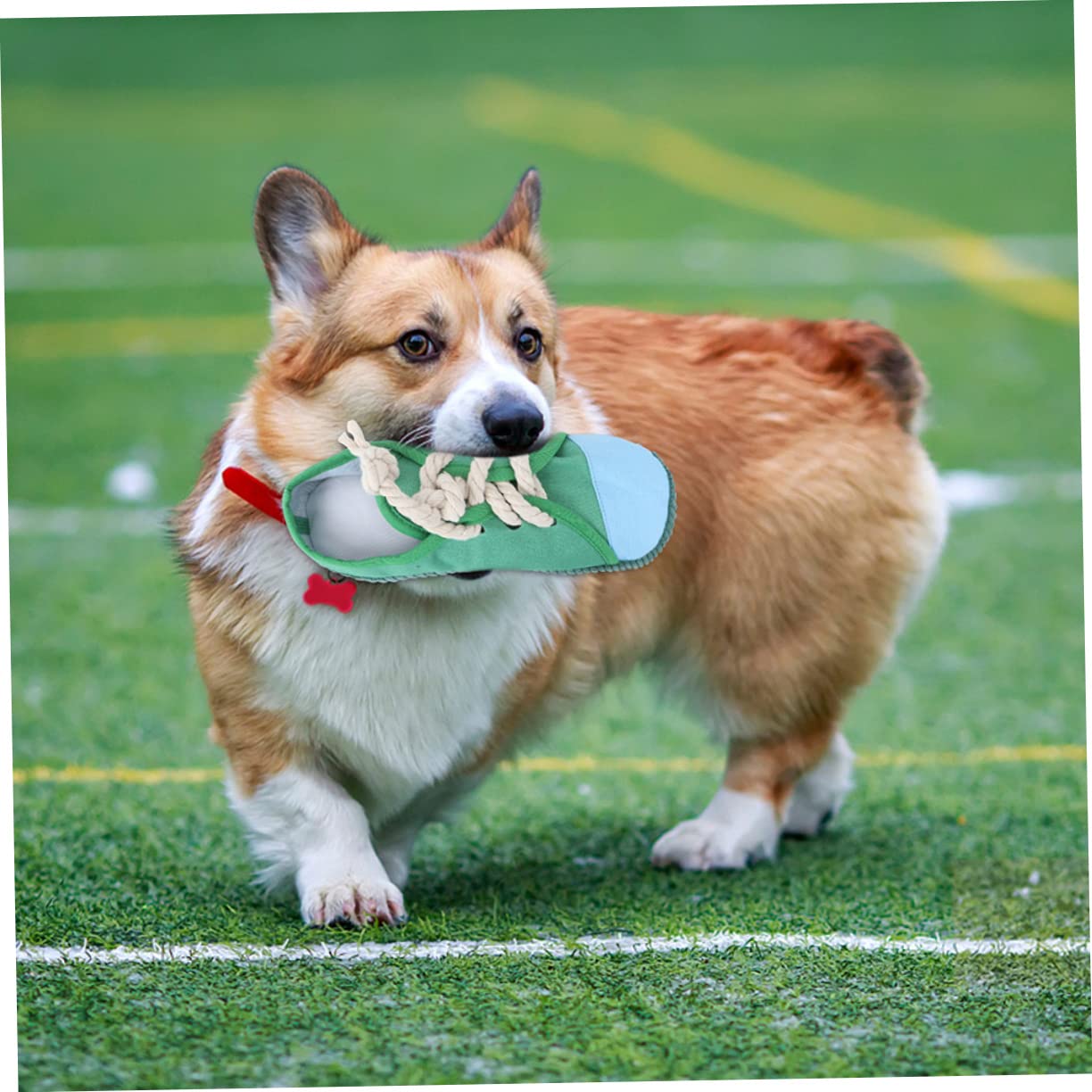 BESPORTBLE 4stücke Haustier Kauspielzeug Aus Bunte Slipper Für Hunde Und Katzen Zum Kauen Spielen Und Zahnpflege Langlebig Und Sicher Für Ihre Tiere