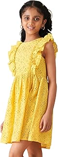 Amazon Brand - Symbol Kids Knee Length Schiffle Fit and Flare Lined Dress Price In India