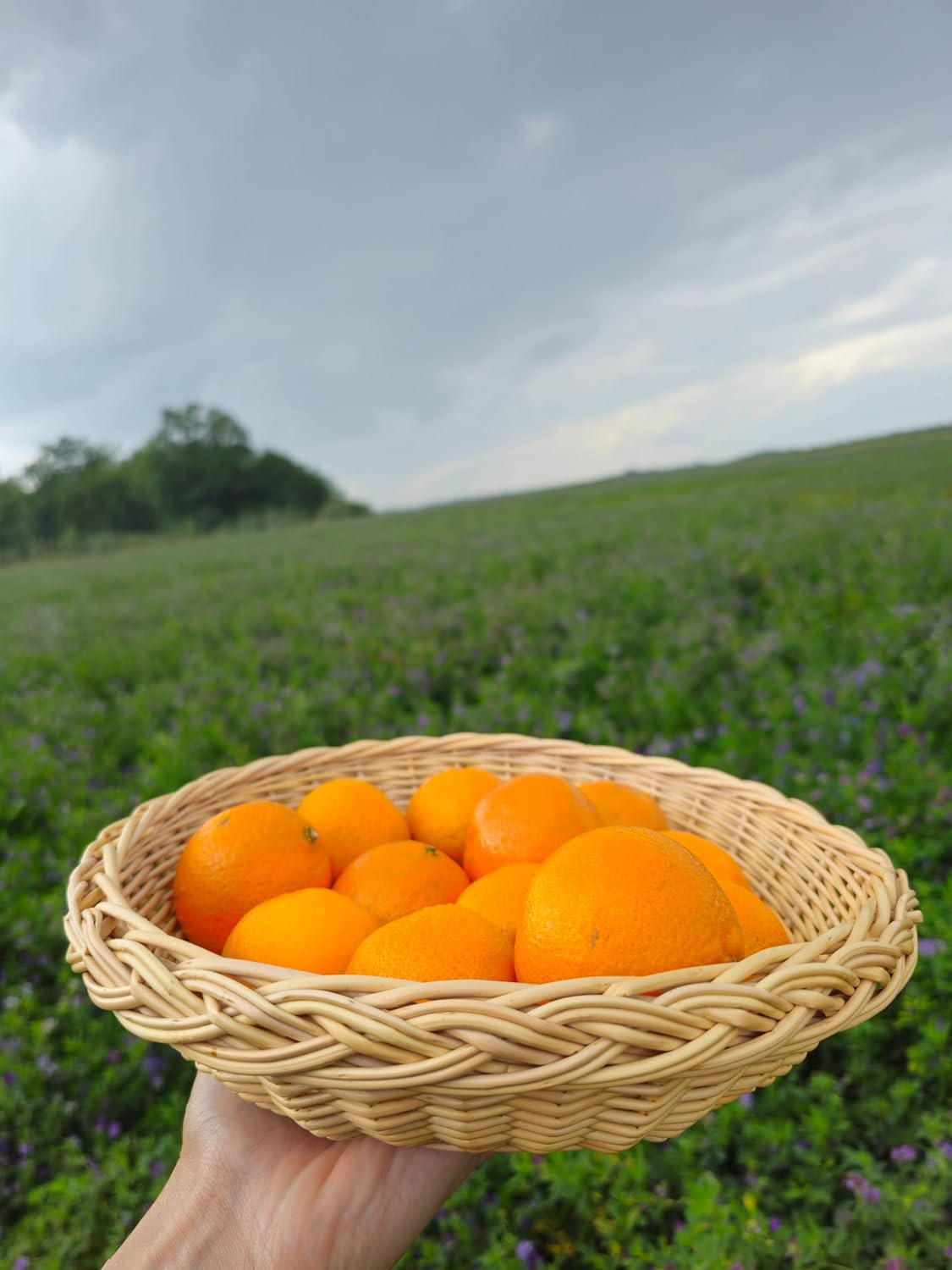 Handwoven Rustic Wicker Plate – Natural Willow Decorative Tray for Table Centerpiece, Farmhouse and Home Decor