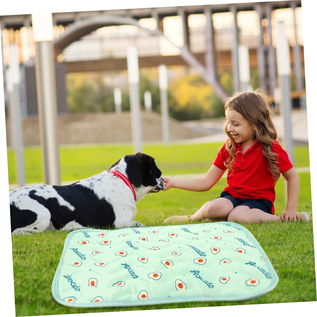 POPETPOP 6piezas Alfombrilla Higiénica para Perros Reutilizable y Lavable Empapador Absorbente para Cachorros Aguacate para Entrenamiento y Uso Interiores