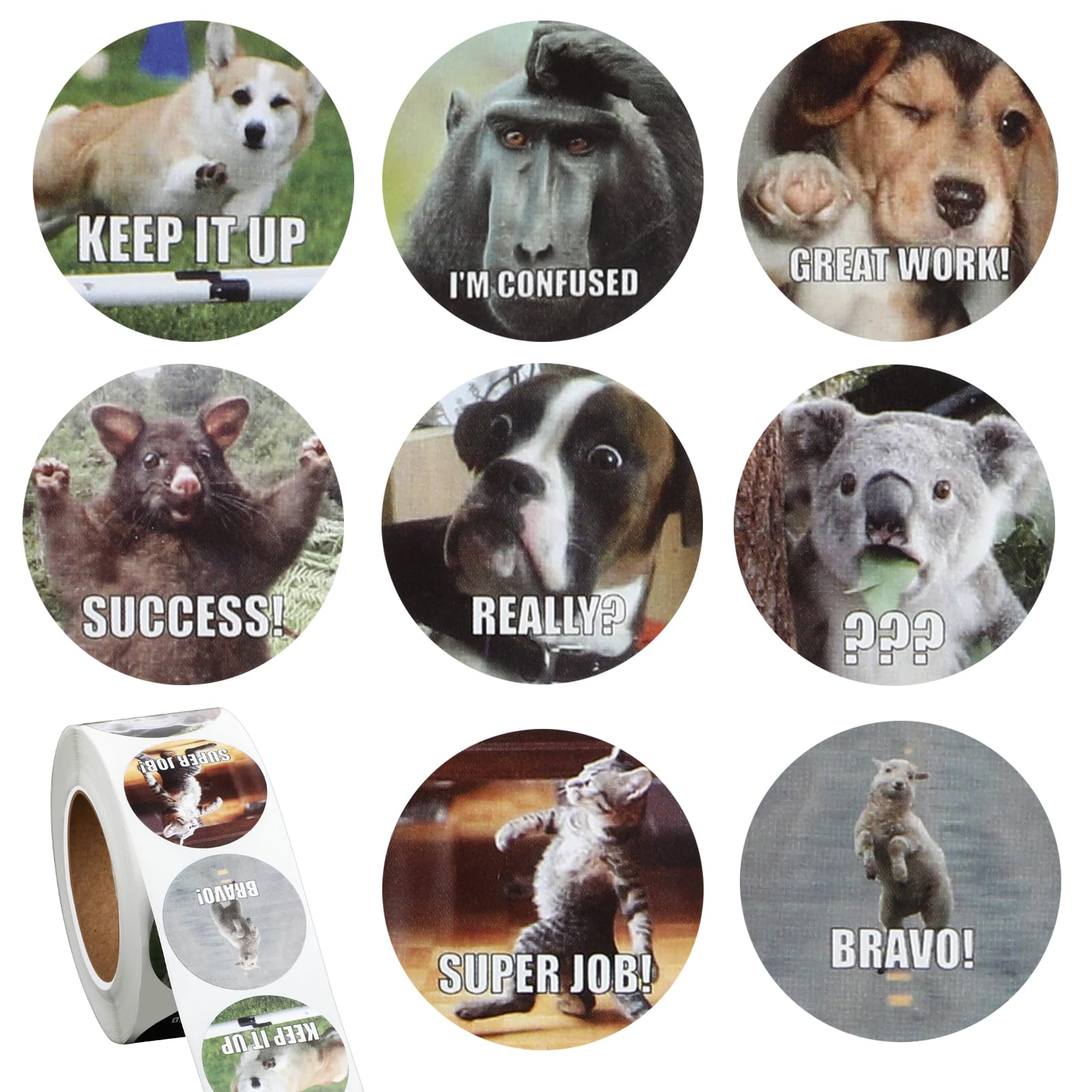 500 Pcs Zoo Animals Stickers for Kids, 1 Inch Round Wild Animal Stickers for Kids Learning Animals, Funny Punny Animal Stickers Classroom Home Rewards Stickers