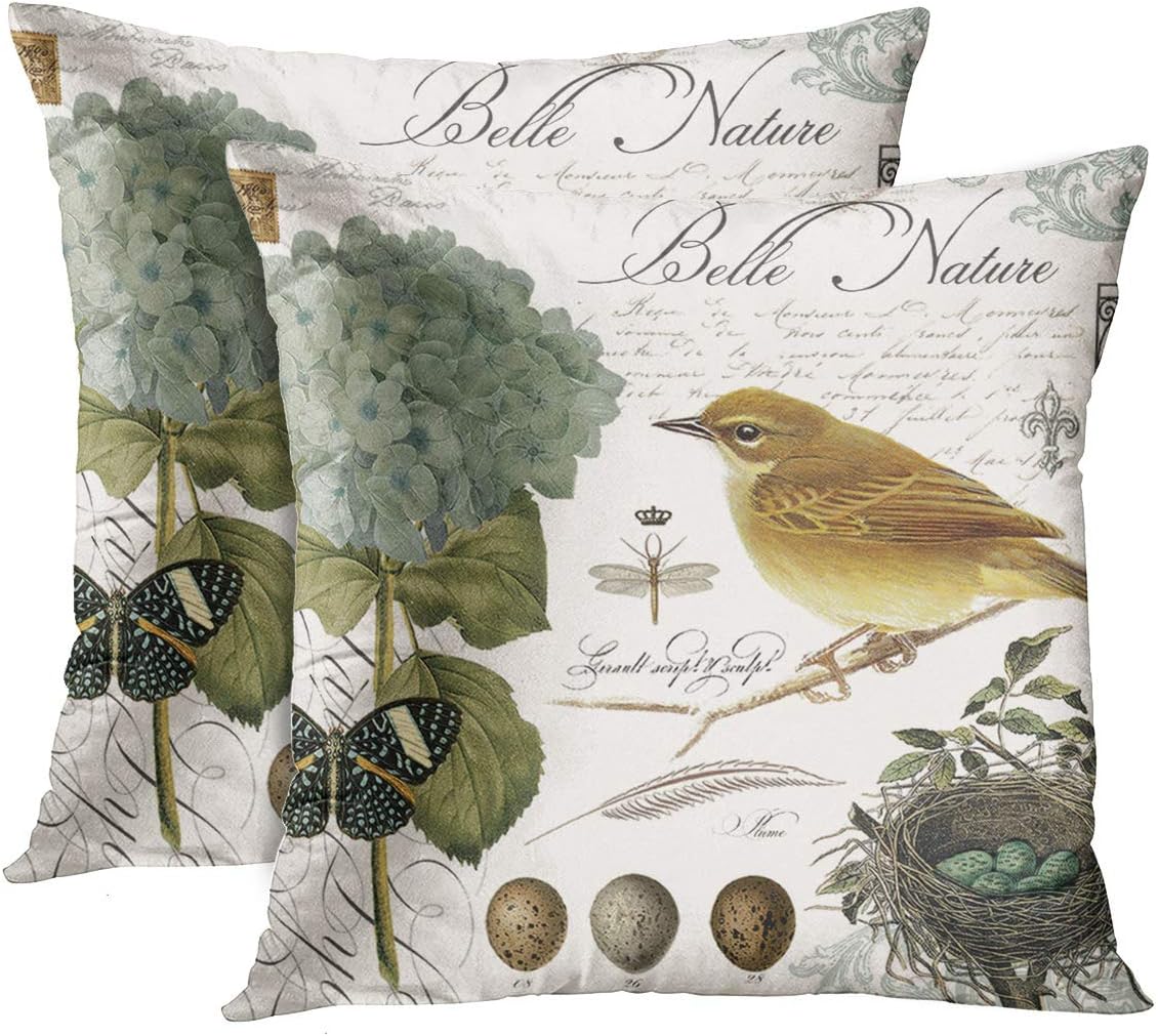 Emvency Set of 2 Throw Pillow Cover Floral Eggs Modern Vintage French Bird and Dragonfly Decorative Pillow Case Home Decor Square 16 x 16 Inch Pillowcase