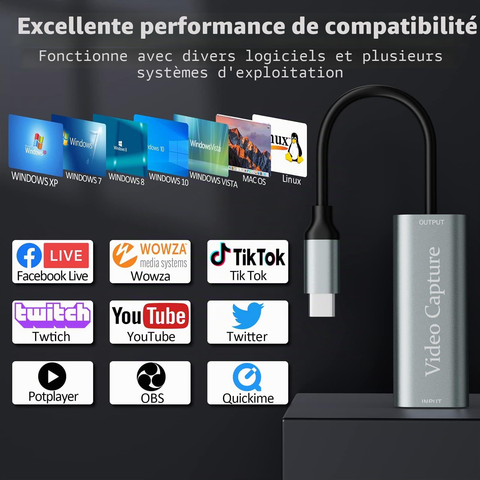 VIXLW Carte de Capture vidéo HDMI USB 3.0, 4K 1080p60fps, Carte de Capture pour Le Jeu en Direct, pour Windows/Mac OS avec Adaptateur USB C pour PS4/Switch/Xbox
