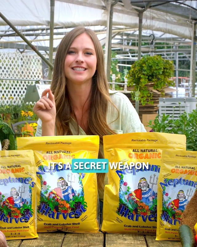 Amazon.com : Neptune's Harvest Crab & Lobster Shell, 12 lb