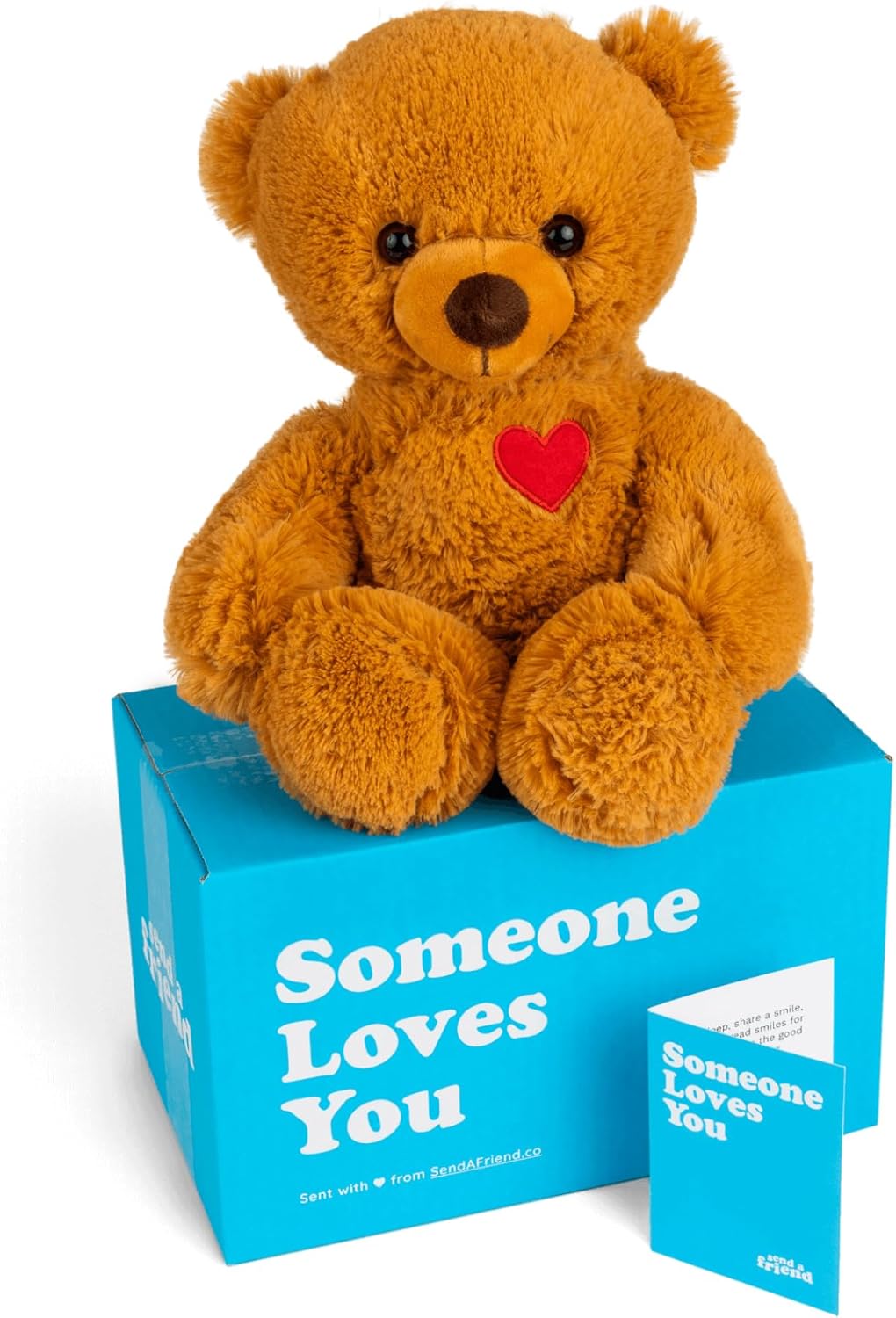 SendAFriend Toby The Teddy Bear Stuffed Animal Care Package, Someone Loves You Box, Great Gift for Any Reason (Love You Notecard)