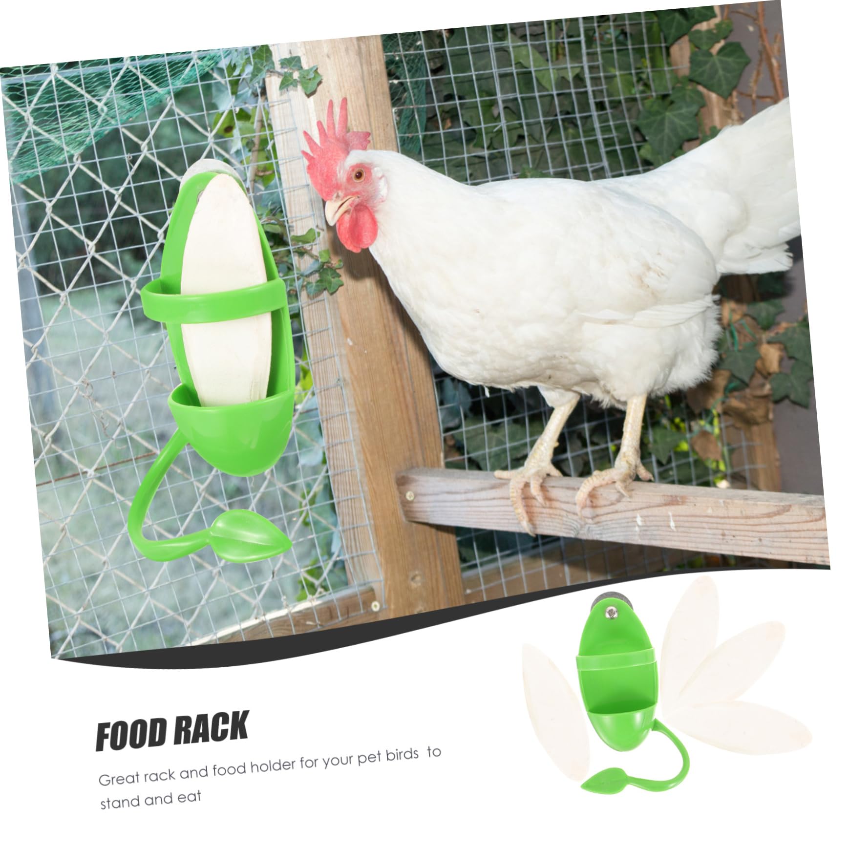 Kisangel Lot De 4 Mangeoires À Oiseaux en De Seiche pour Perroquets Bols Suspendus Accessoires pour Cage À Oiseaux