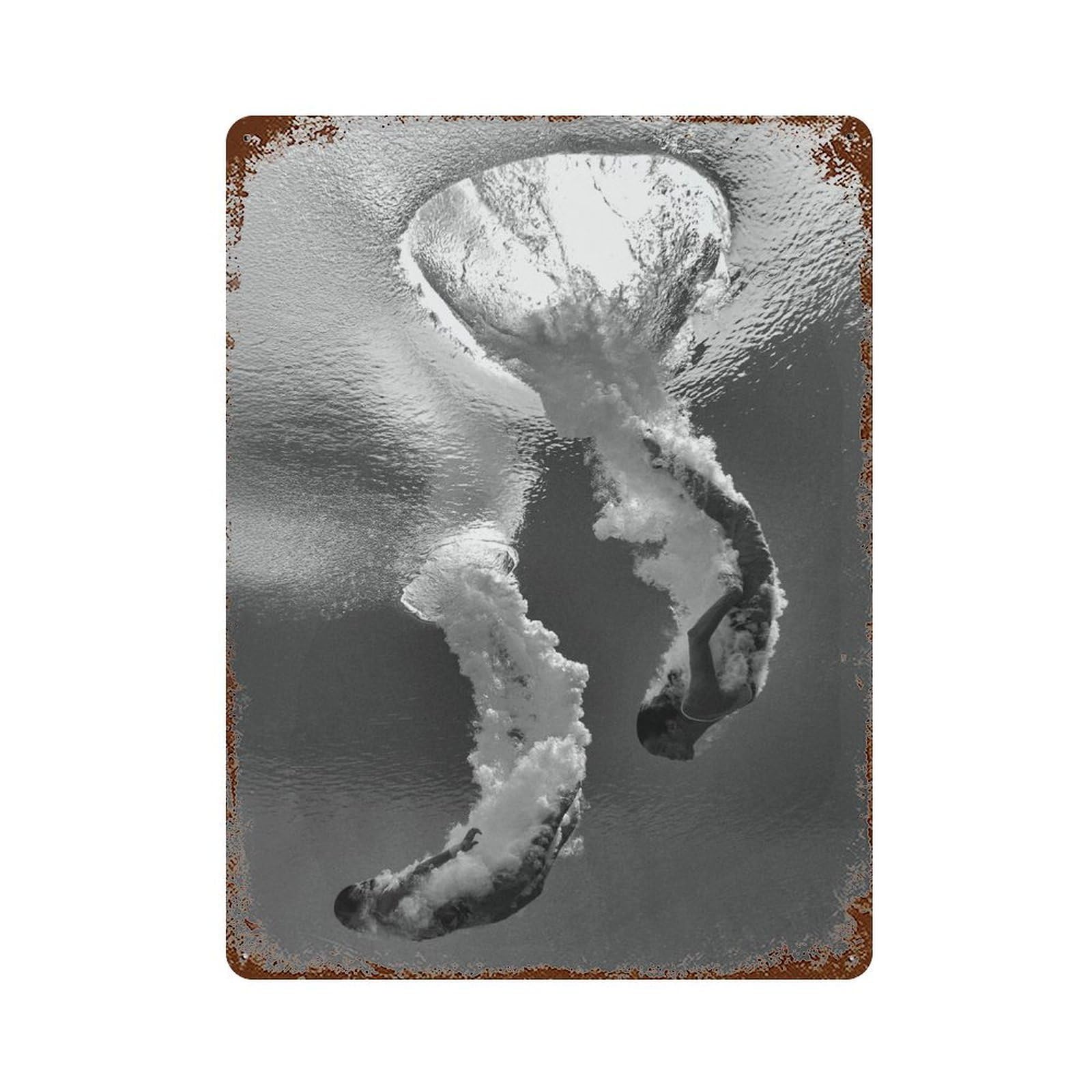 xiaoxiaoshen Diving, Photography Prints, Wall Decor Art Metal Tin Poster Modern Home Decor Art Home Bar Shop Decorations Vintage Sign 40x30cm