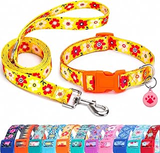Floral Matching Dog Collar and Leash Set with AirTag Holder-Orange Daisy/S | Anti-Lost,Adjustable Durable Pet Collar Leash Combo for Small Boy Girl Dogs,for Outdoor Walking Hiking Training Running