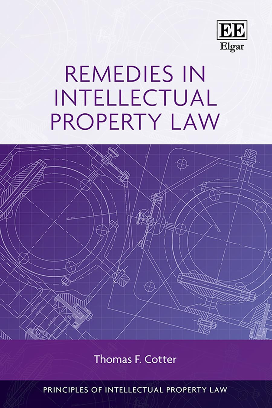 Remedies in Intellectual Property Law (Principles of Intellectual Property Law series)