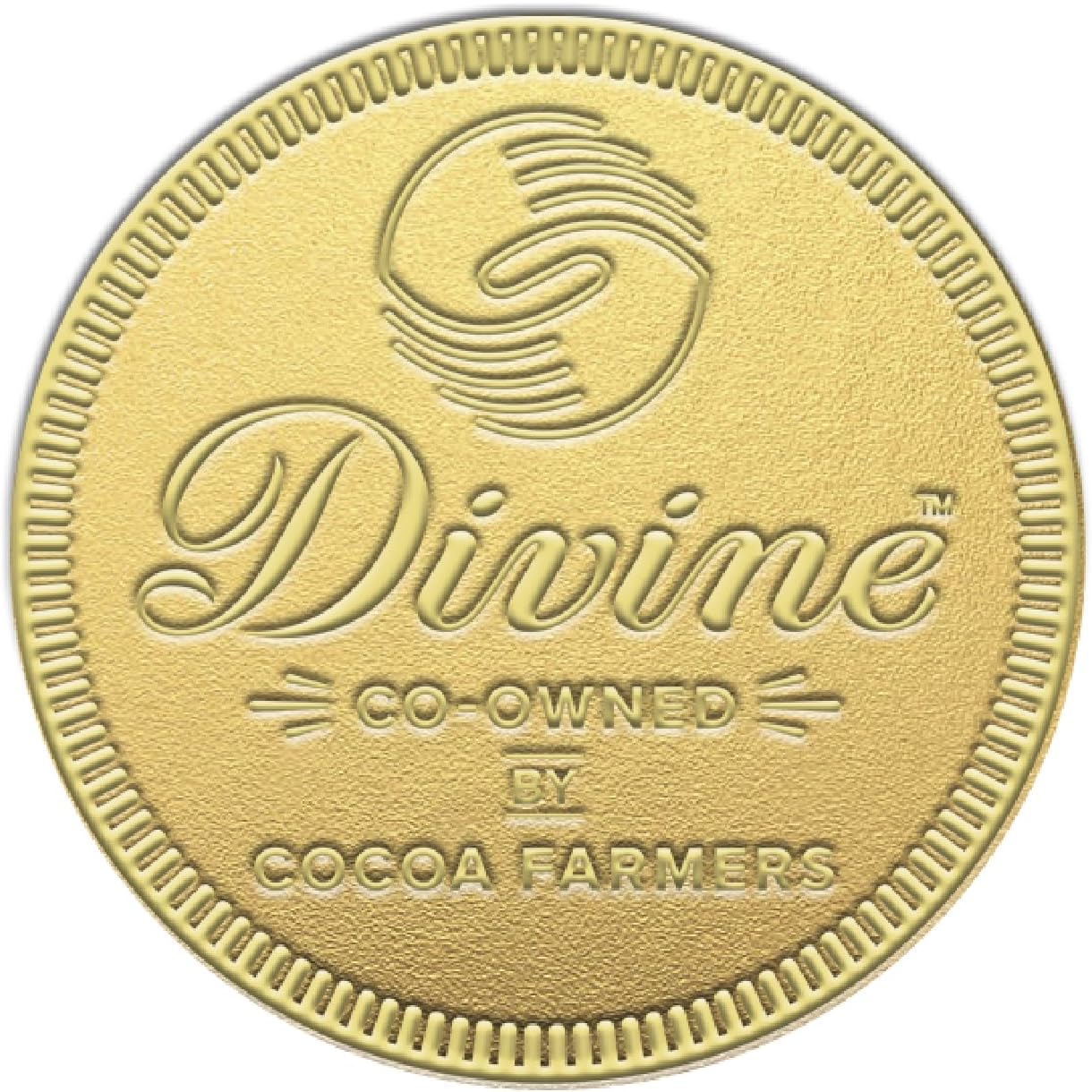 Divine Giant Milk Chocolate Coin, 58g