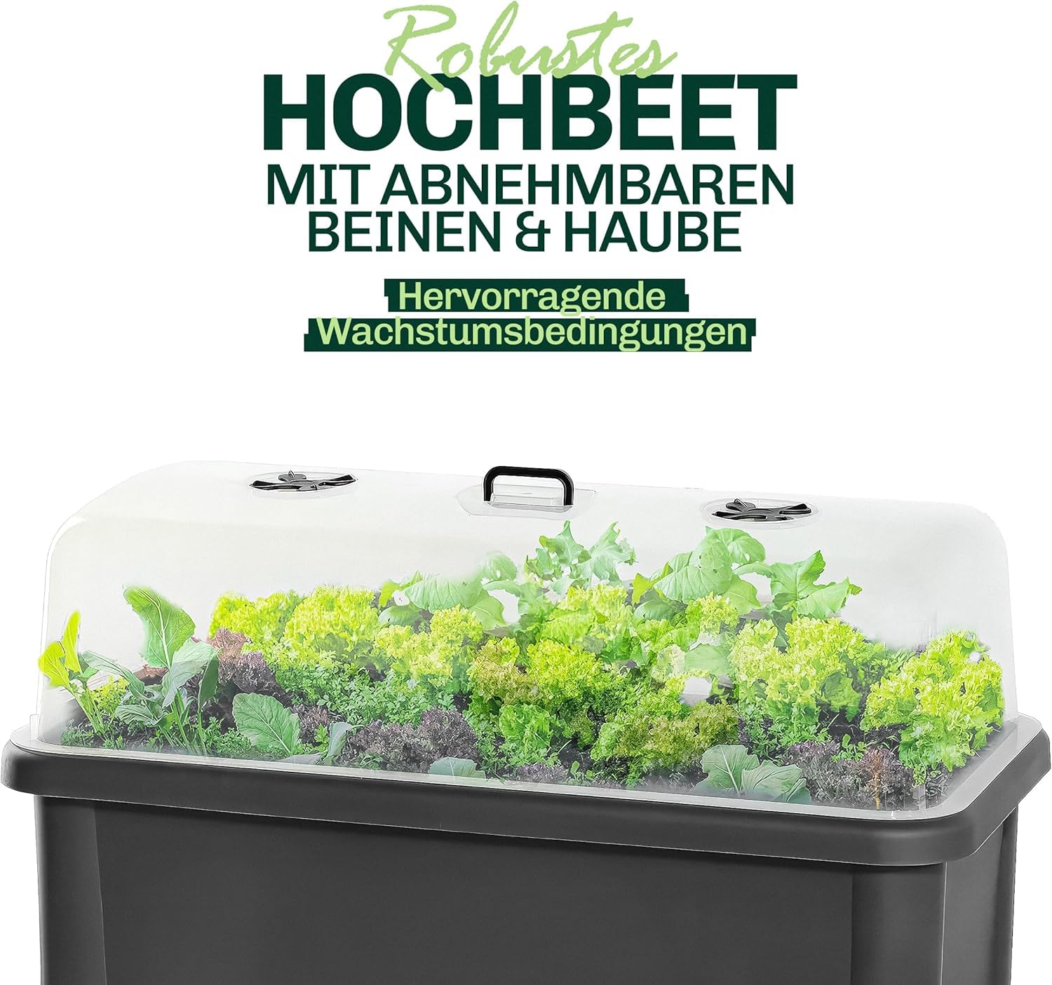 Hochbeet Kunststoff 76x37x84,5 cm | Robuster PP-Kunststoff mit abnehmbaren Beinen und Haube | Frühbeet für Garten und Balkon | Gemüsebeet im modernem Design