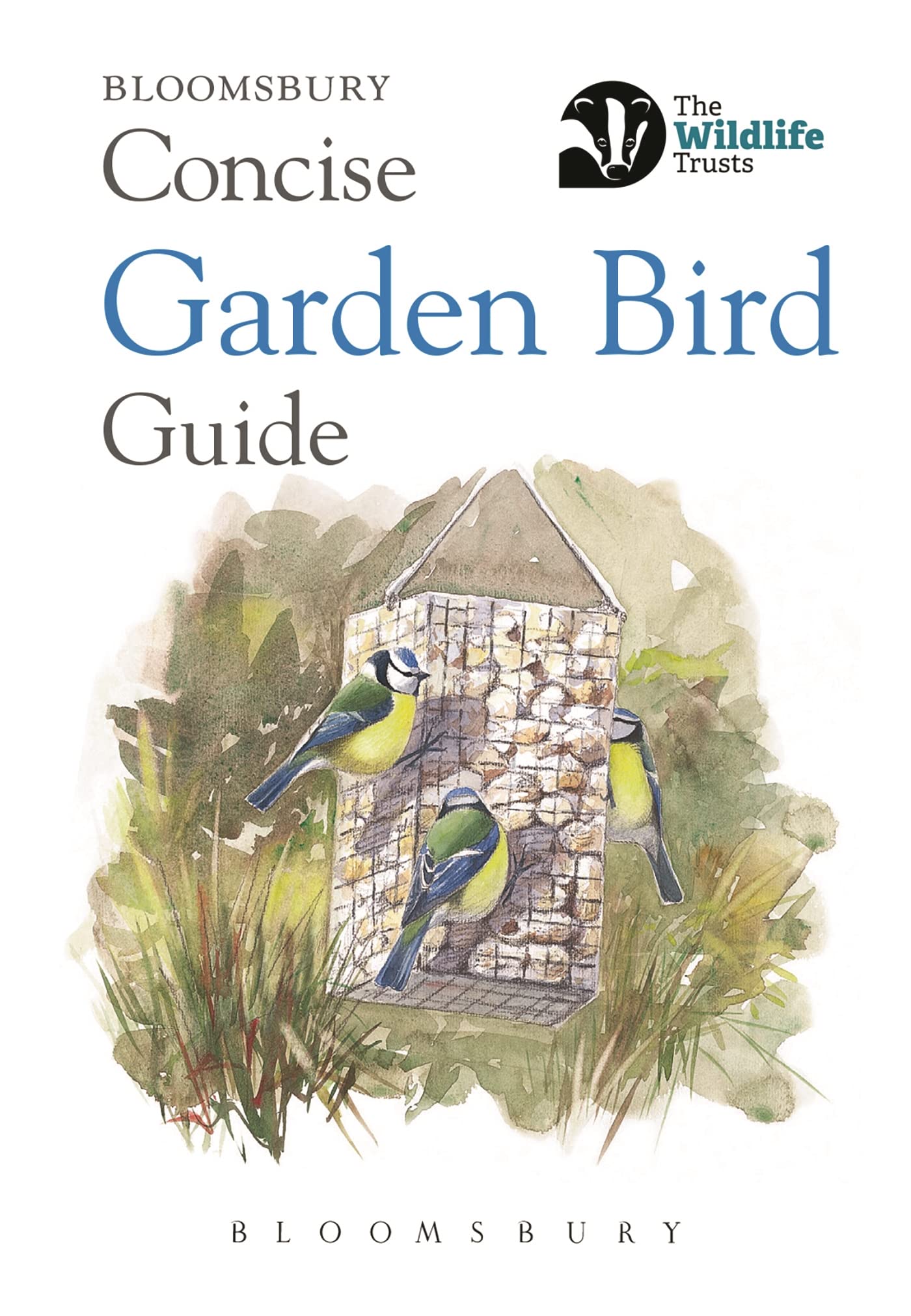 Concise Garden Bird Guide (Concise Guides)