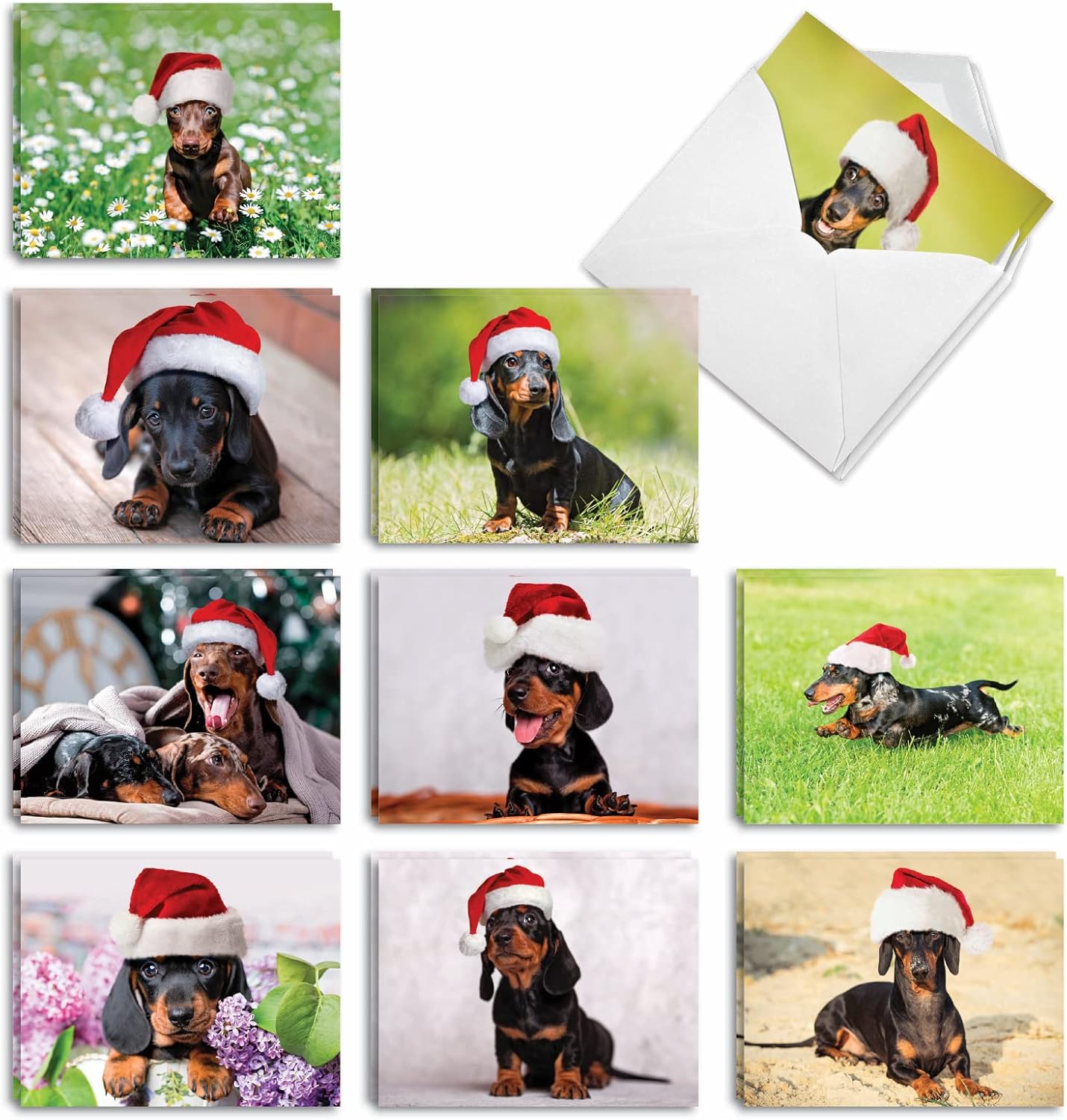 The Best Card Company ダッシュ・ダックスフント - 20枚詰め合わせボックス入りメリークリスマスノートカード