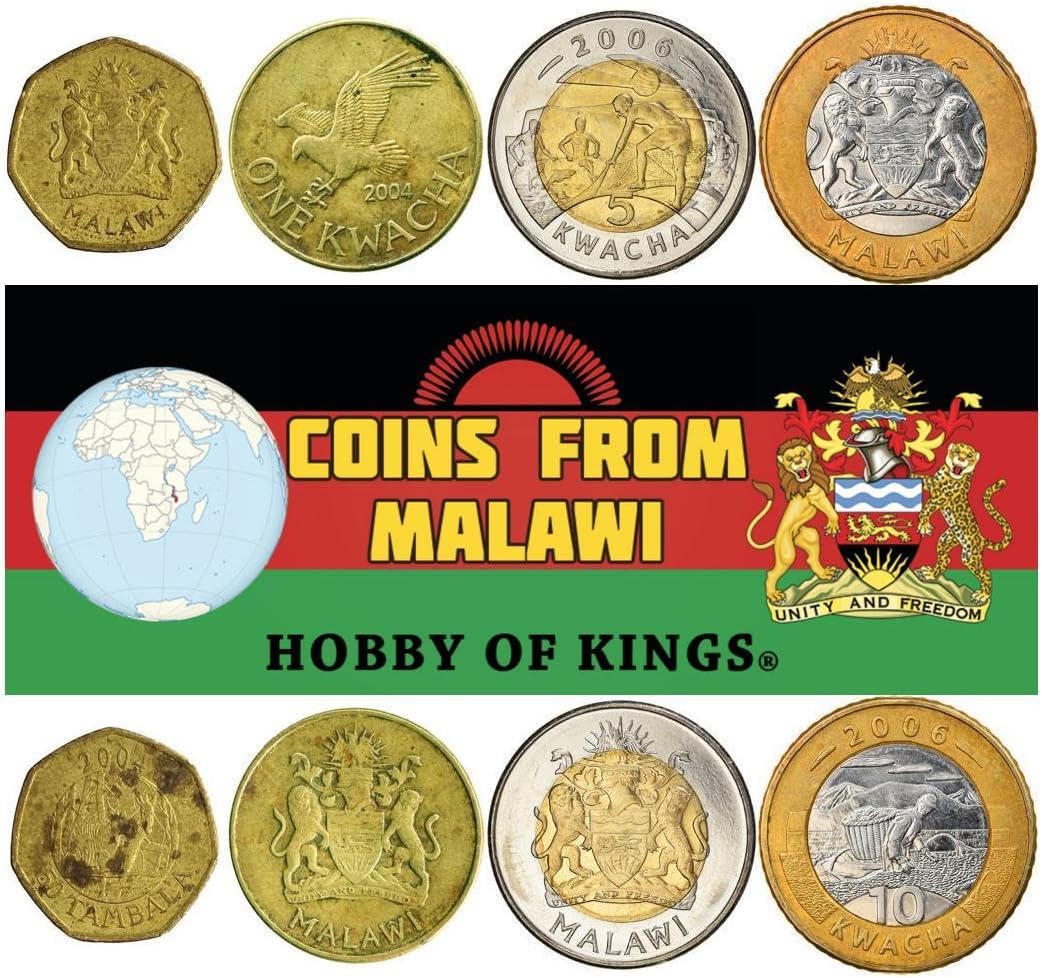 7 Coins from Malawi | Malawian Coin Set Collection 1 2 5 10 20 50 Tambala 1 Kwacha | Circulated 1995 - 2004 | Bakili Muluzi | Elephant | Pin-Tailed Whydah | Purple Heron | African Fish Eagle | Tilapia | Corn