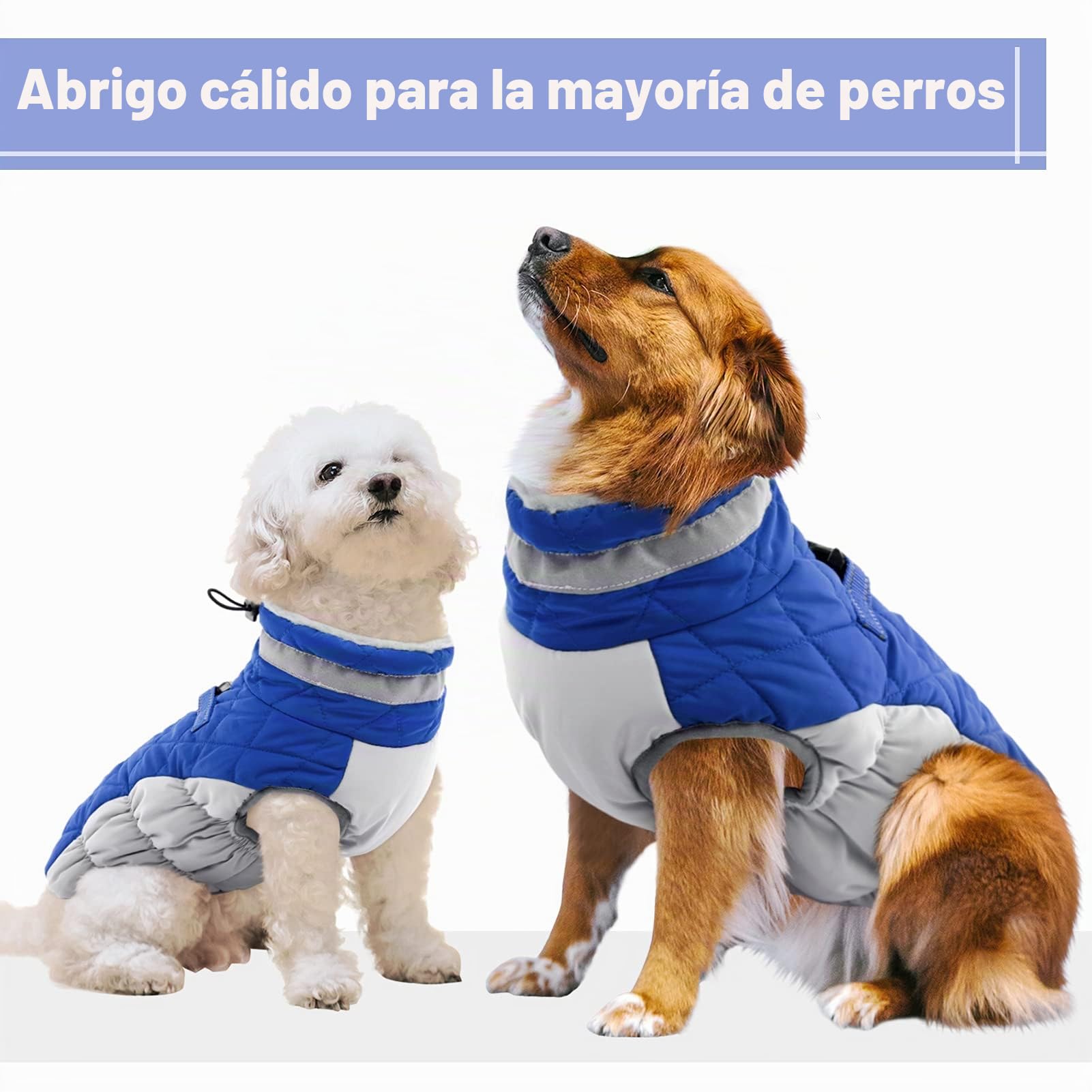 CITÉTOILE Abrigo de invierno para perros, chaqueta para perros con arnés, impermeable para perros con forro polar, para perros pequeños, color azul, M