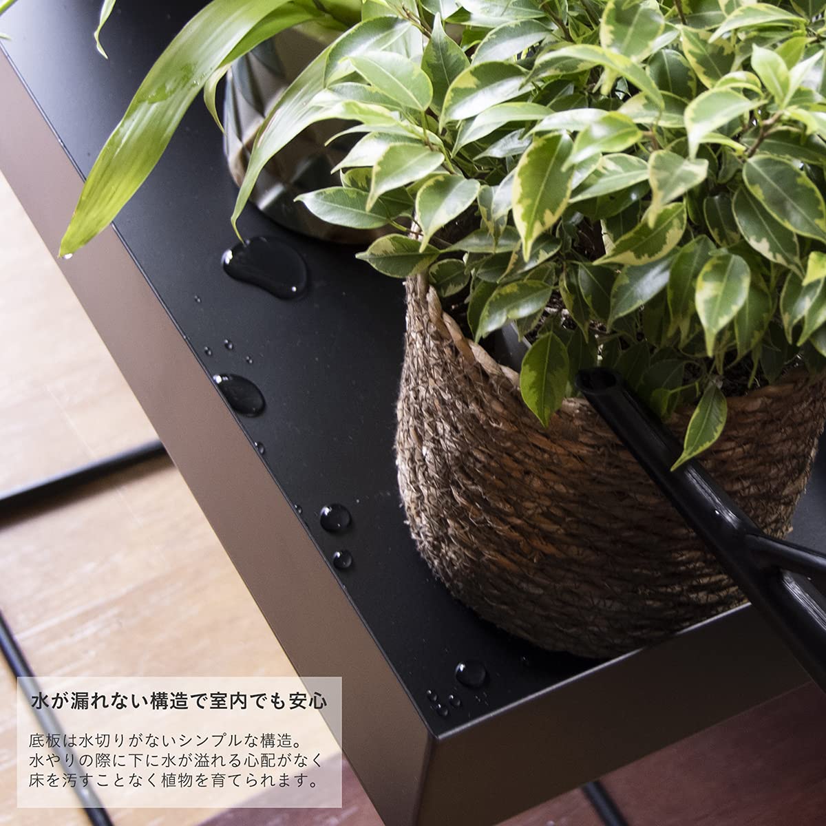 Amazon.co.jp: Rocotto プランター アイアン フラワースタンド