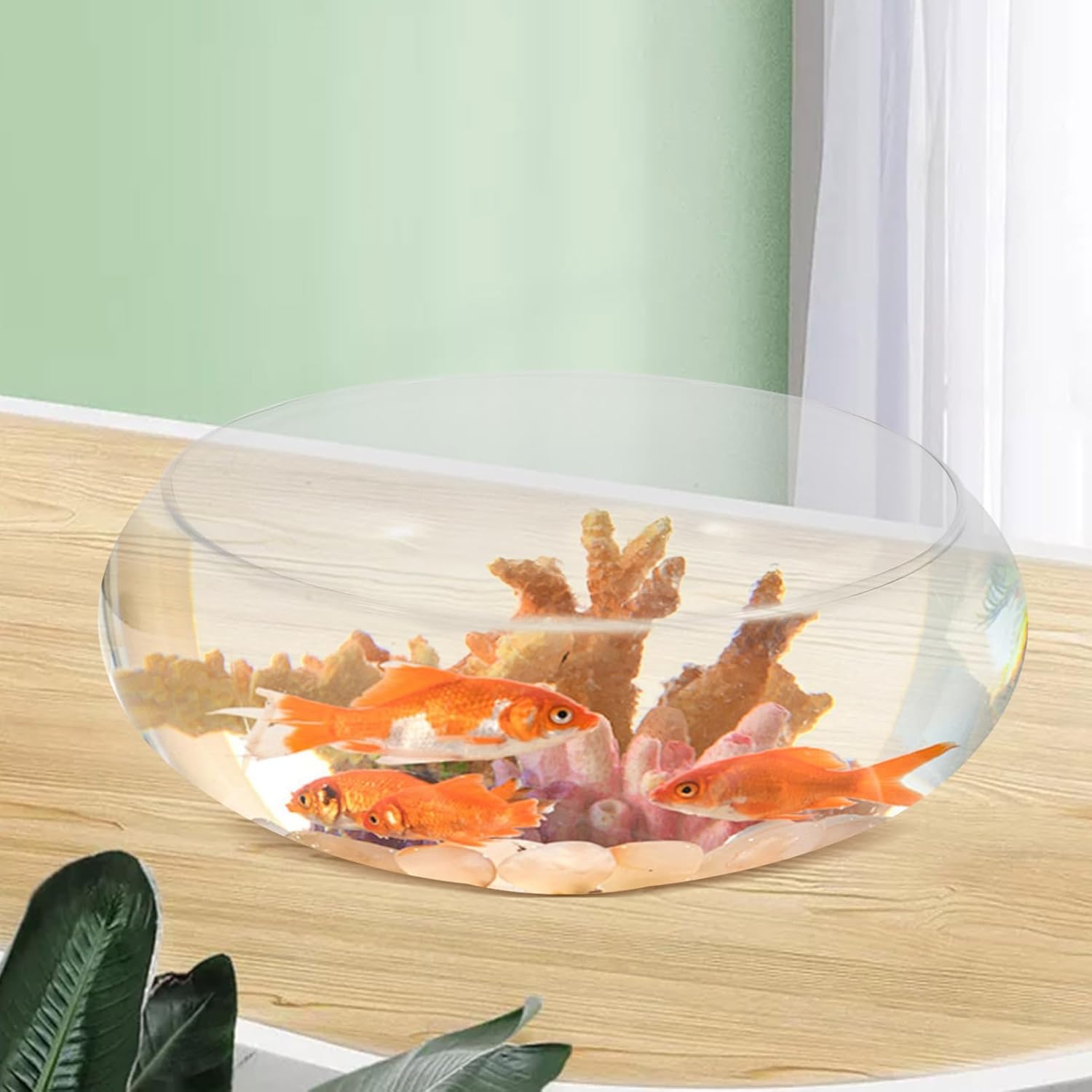 DOITOOL Clear Glass Fish Bowl 9.84 Inch Desktop Aquarium Small Fish Tank Planter for Goldfish Hydroponic Plants Home Office Wedding Decor