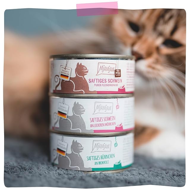 Foto 6 de 6 de MjAMjAM - Alimento húmedo Premium para Gatos