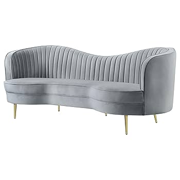 Amazon.com: Coaster Home Furnishings - Sophia - Velvet