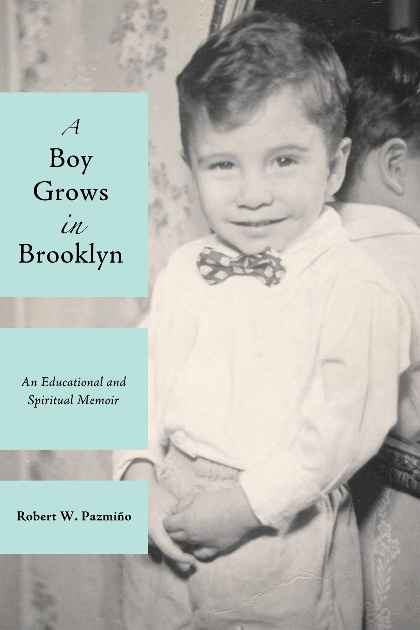 Buy A Boy Grows in Brooklyn: An Educational and Spiritual Memoir — BookShops.in