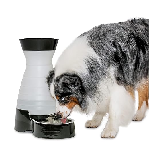 PetSafe Healthy Pet Water Station - Large