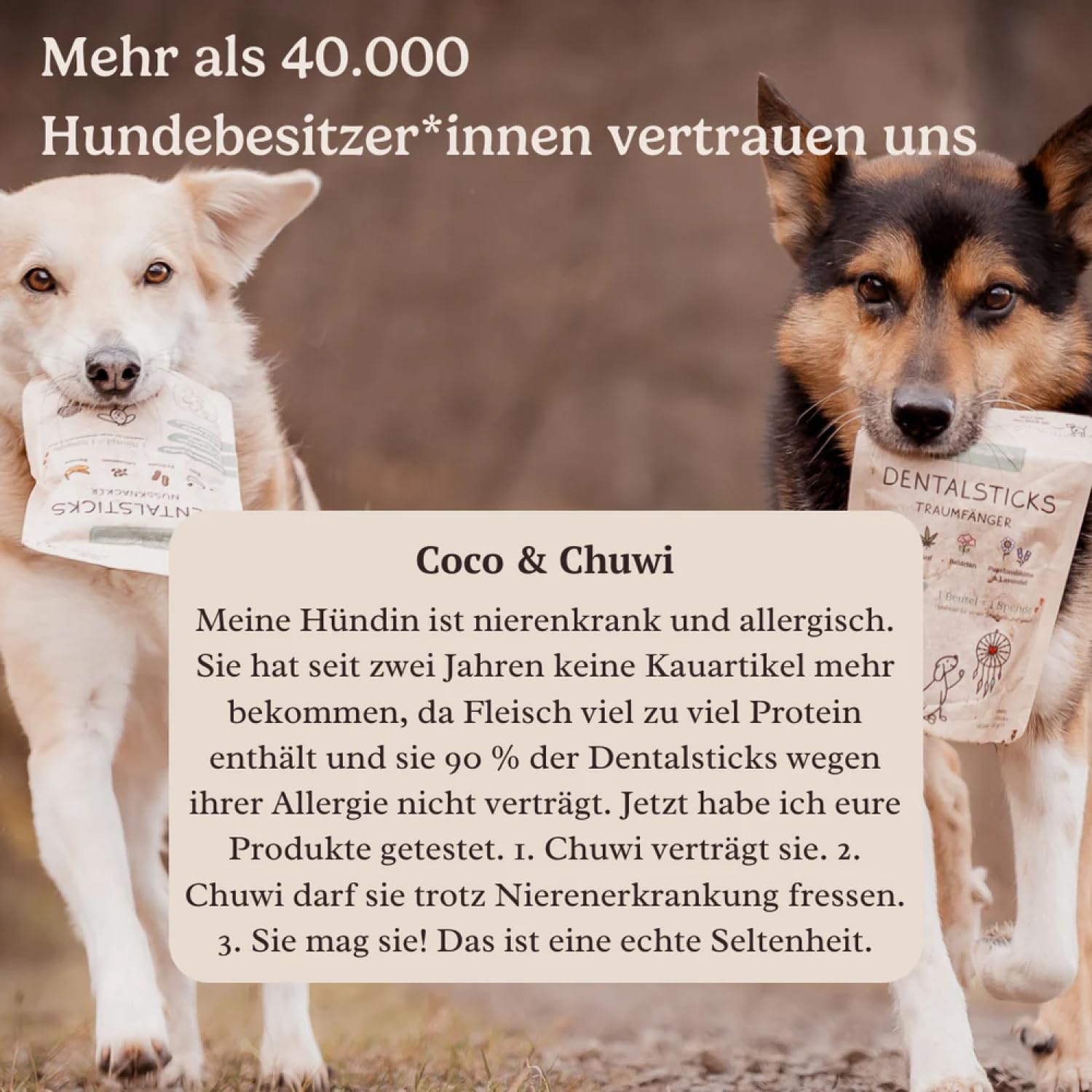 Hunderunde – Zahnfee Dental Sticks 42 STK – vegane Zahnpflege für Hunde – mit Apfeltrester & Pfefferminze – gegen Zahnstein & Maulgeruch – getreidefrei – Hundesnack für tägliche Zahnpflege