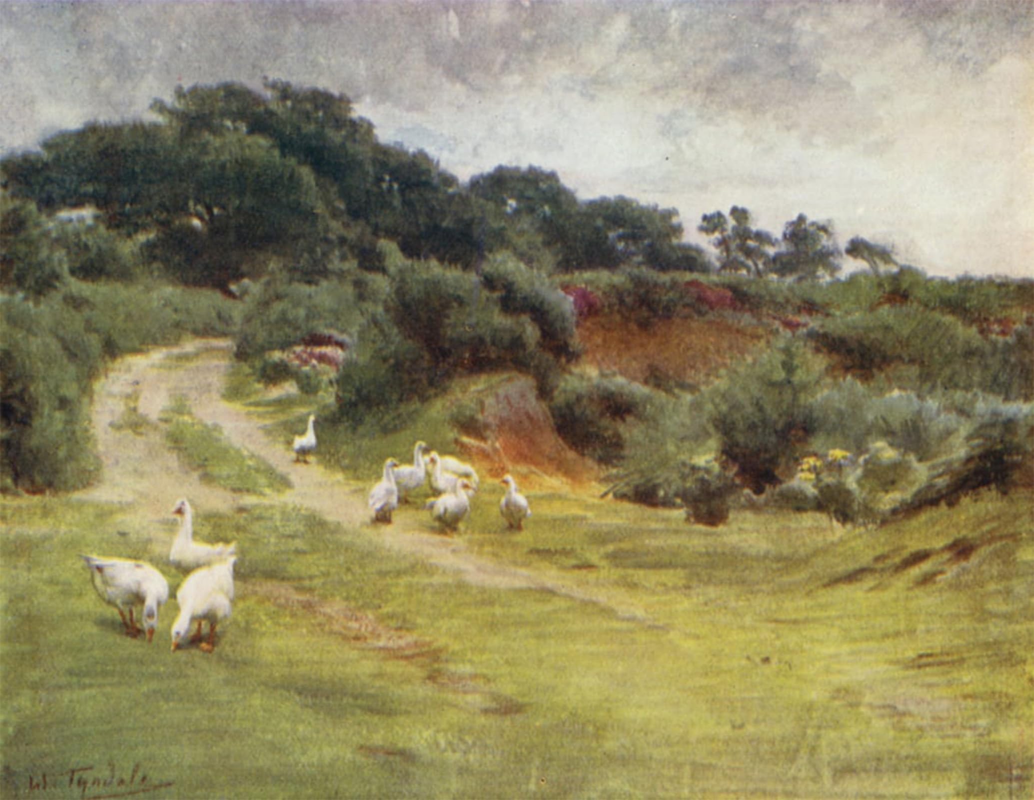 SERENDIPITP Vintage Wall Art Canvas Nordic Poster Canvas Print Picture the New Forest Royden Common Near Brokenhurst by Walter Frederick Roofe Tyndale Wall Art Poster for Home Decor 60x90cm