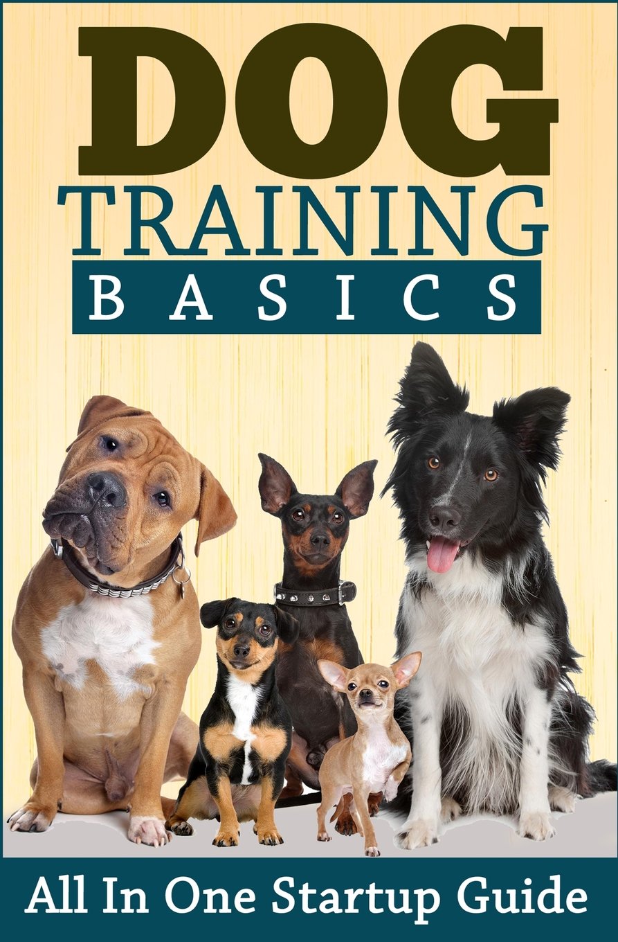 Dog Training: All in One Startup Guide