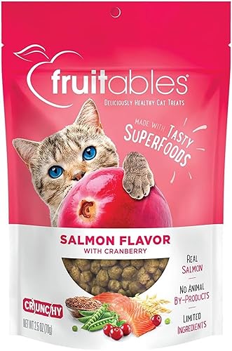 Fruitables Cat Crunchy Treats For Cats – Healthy Low Calorie Packed with Protein – No Wheat, Corn or Soy – Made with Real Salmon with Cranberry – 2.5 Ounces - 2.5 Ounce (Pack of 1) - Salmon & Cranberry