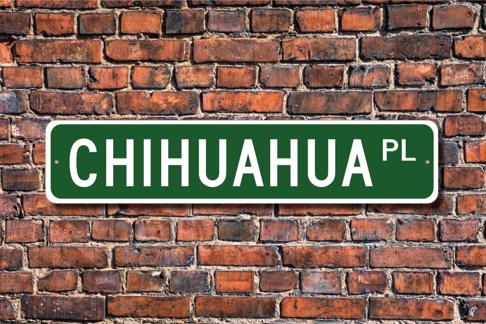 Bcts Ee3209 Chihuahua Chihuahua Gift Chihuahua Sign Custom Street Sign Metal Sign Outdoor Street Sign/Subway Sign 4X16 Inch