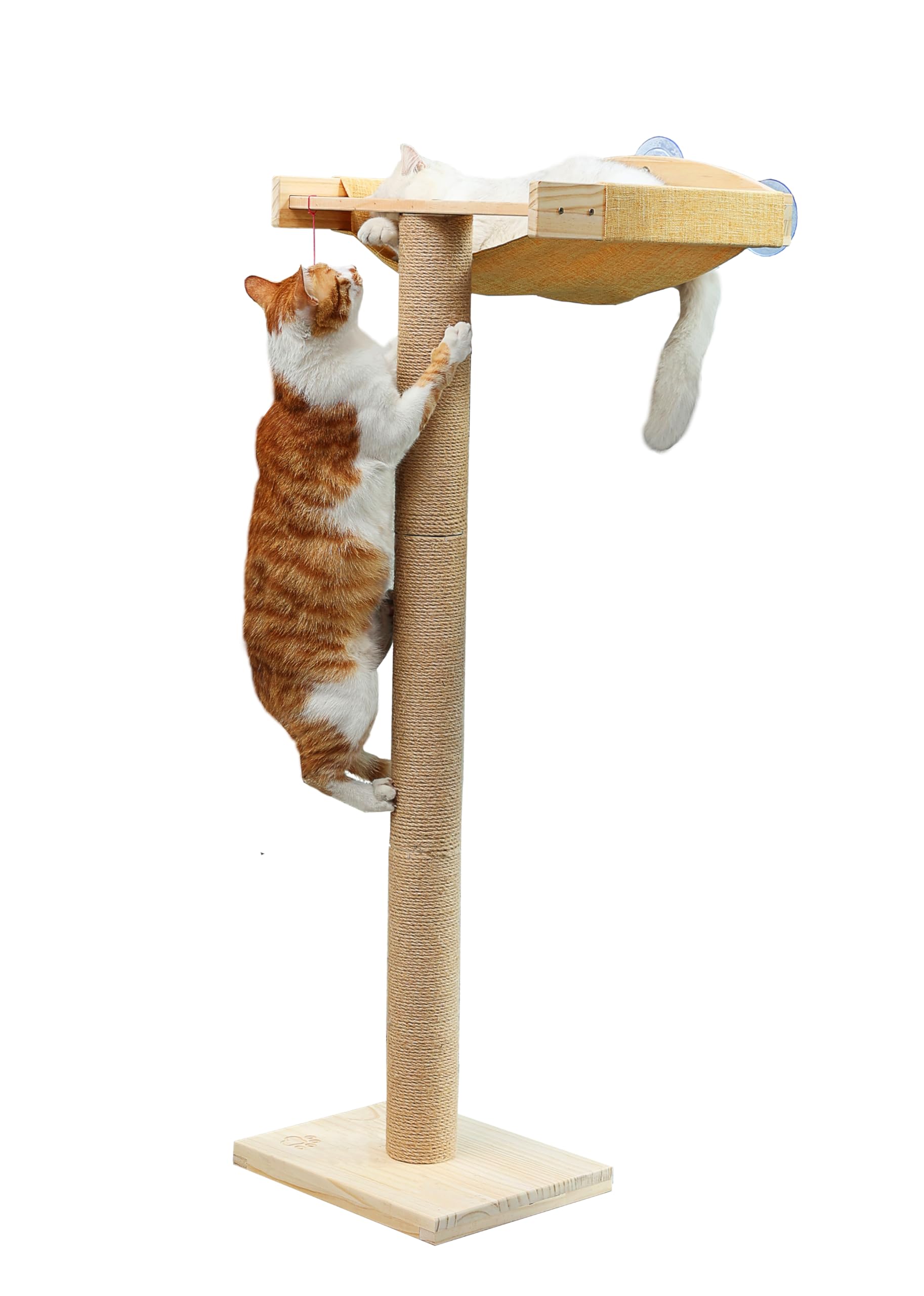 Amaca da finestra per gatti con tiragraffi, per interni, per gatti, 116,8 cm, con ventose per appollaiarsi, giocare e guardare gli uccelli