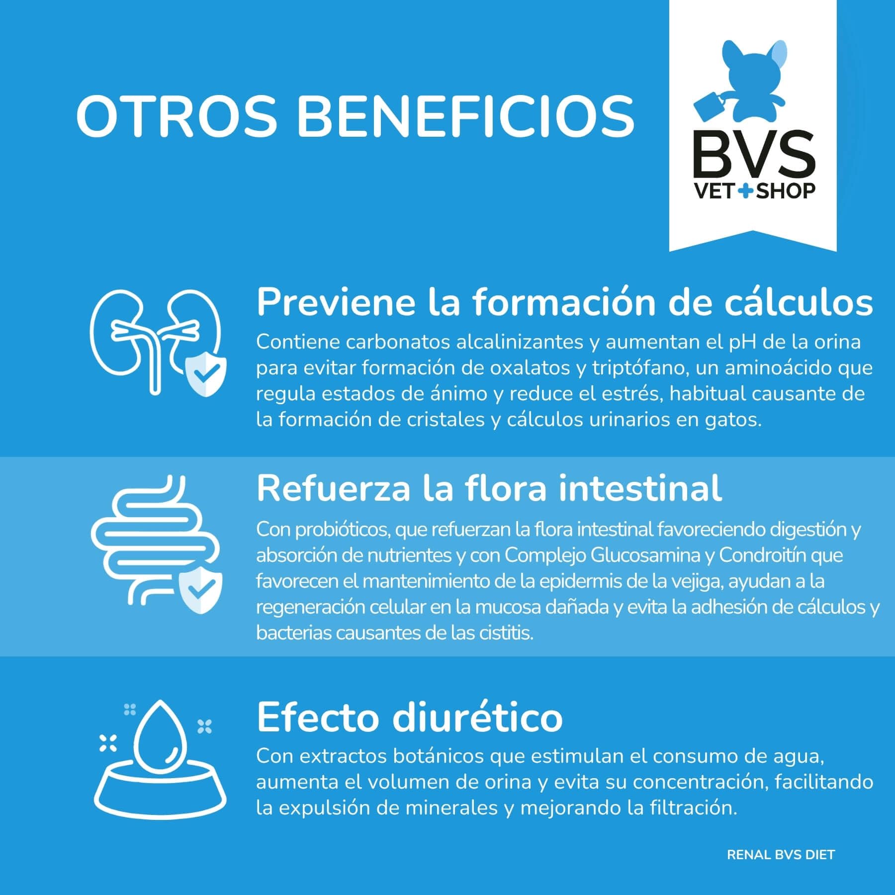 BVS Vet Shop | Diet Gato Renal Grain Free | para Gatos Adultos, sin Cereales destinado a favorecer la función renal | 8 kg