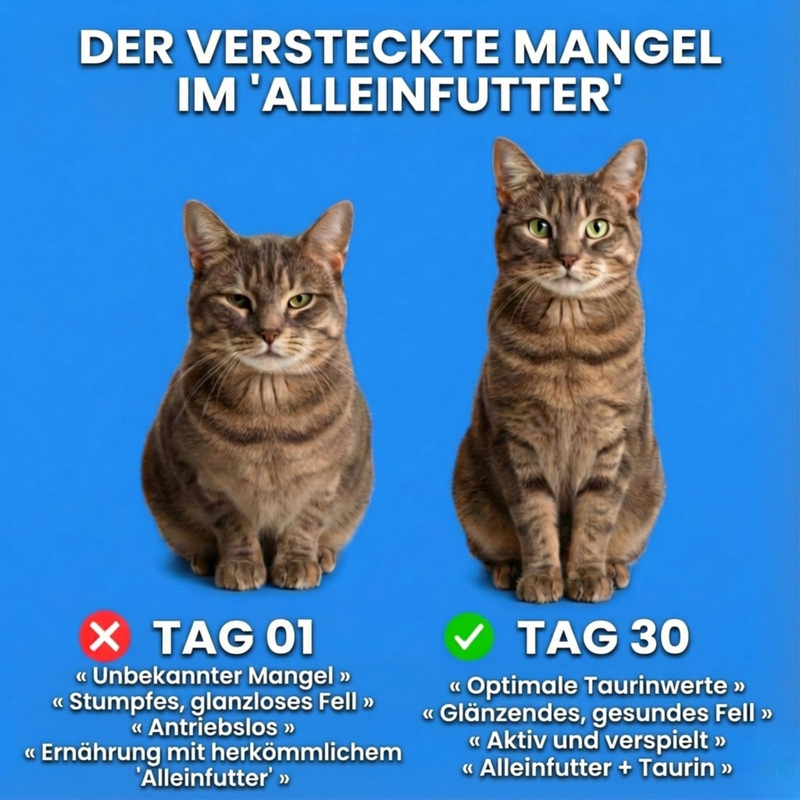 purkatz puretaurin PURETAURINE+ - DIE NR.1 EMPFEHLUNG VONTIERARZTEN，Senioren Katzen-Nahrungsergänzung, tägliche Fütterung, Unterstützt Herzgesundheit & Sehkraft, für alle Katzenrassen